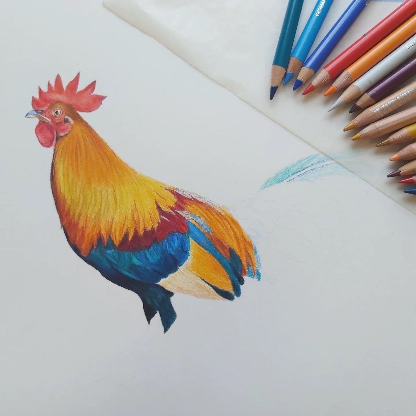 10 Best Papers for Colored Pencils Reviewed and Rated in 2024